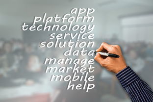 NBA球队市场营销策略与品牌建设，nba的营销策略